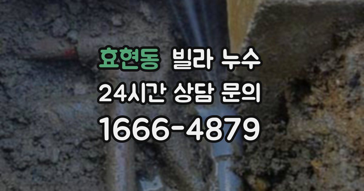 효현동 빌라 누수