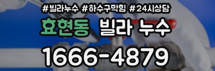 효현동 빌라 누수