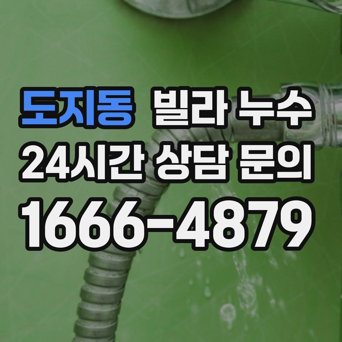 도지동 빌라 누수