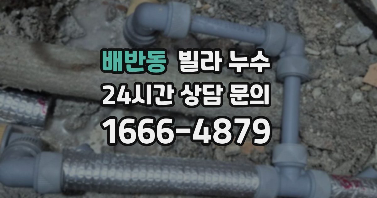 배반동 빌라 누수