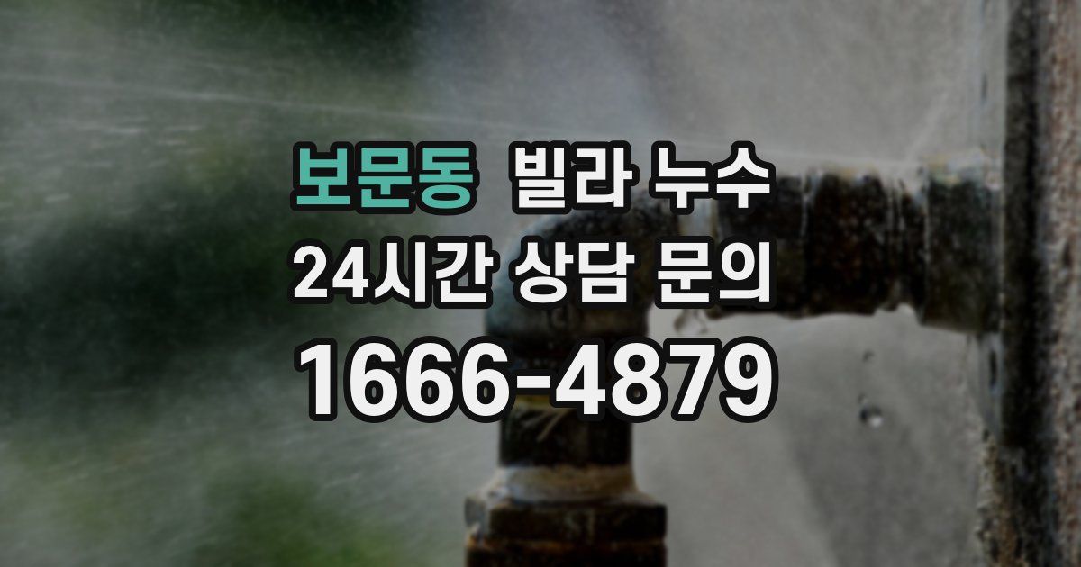 보문동 빌라 누수