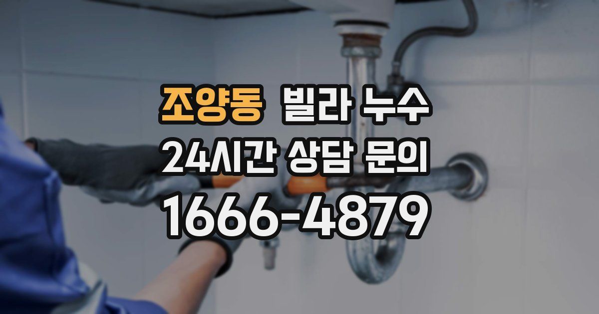 조양동 빌라 누수