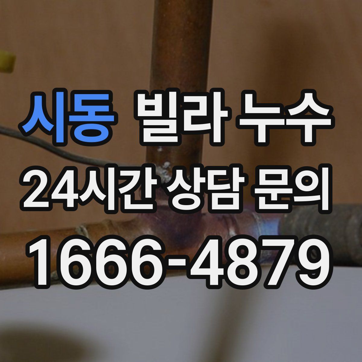 시동 빌라 누수