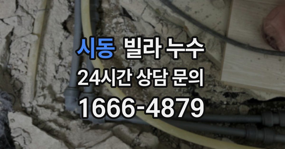 시동 빌라 누수