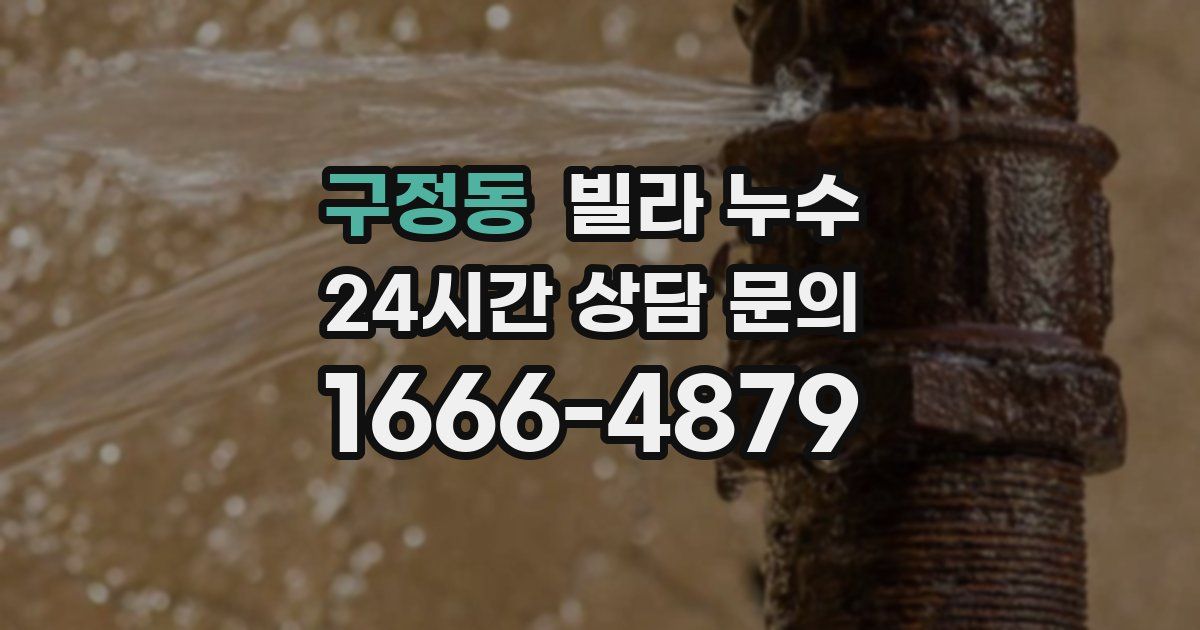 구정동 빌라 누수