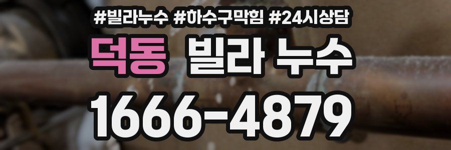 덕동 빌라 누수