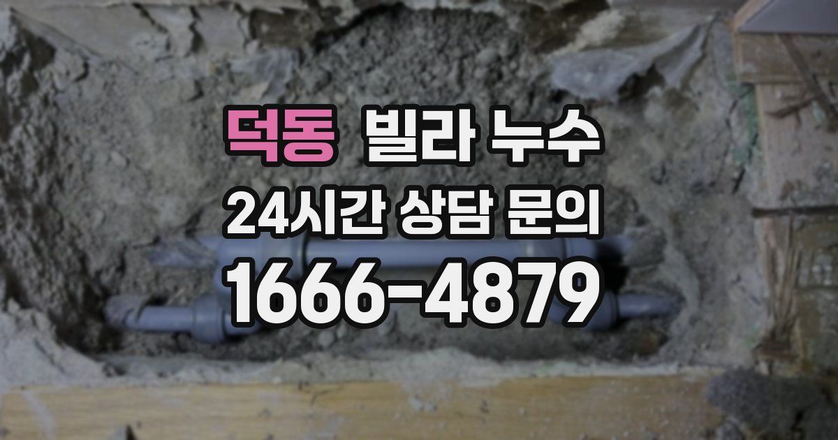 덕동 빌라 누수