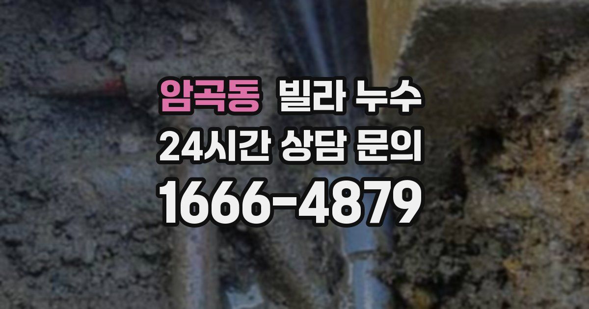 암곡동 빌라 누수