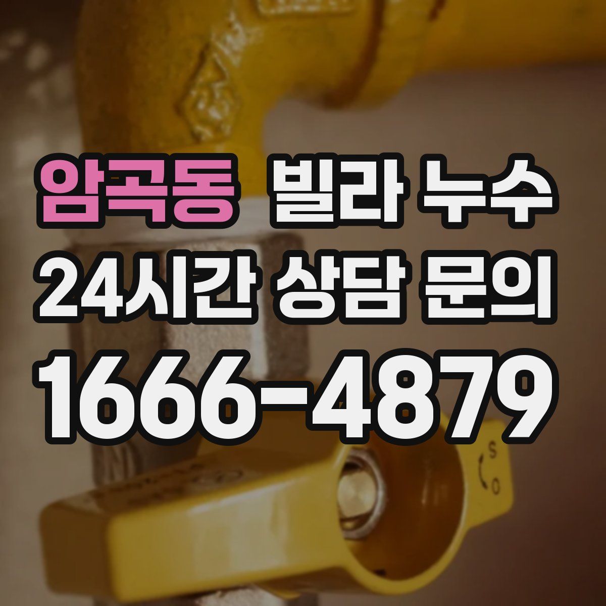 암곡동 빌라 누수