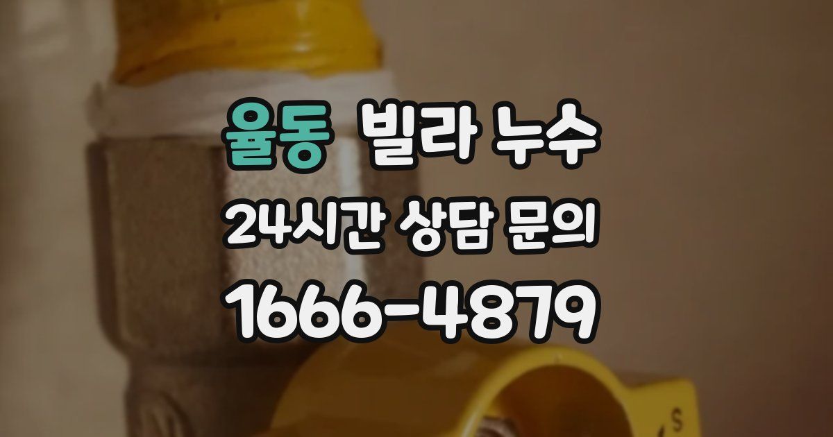 율동 빌라 누수