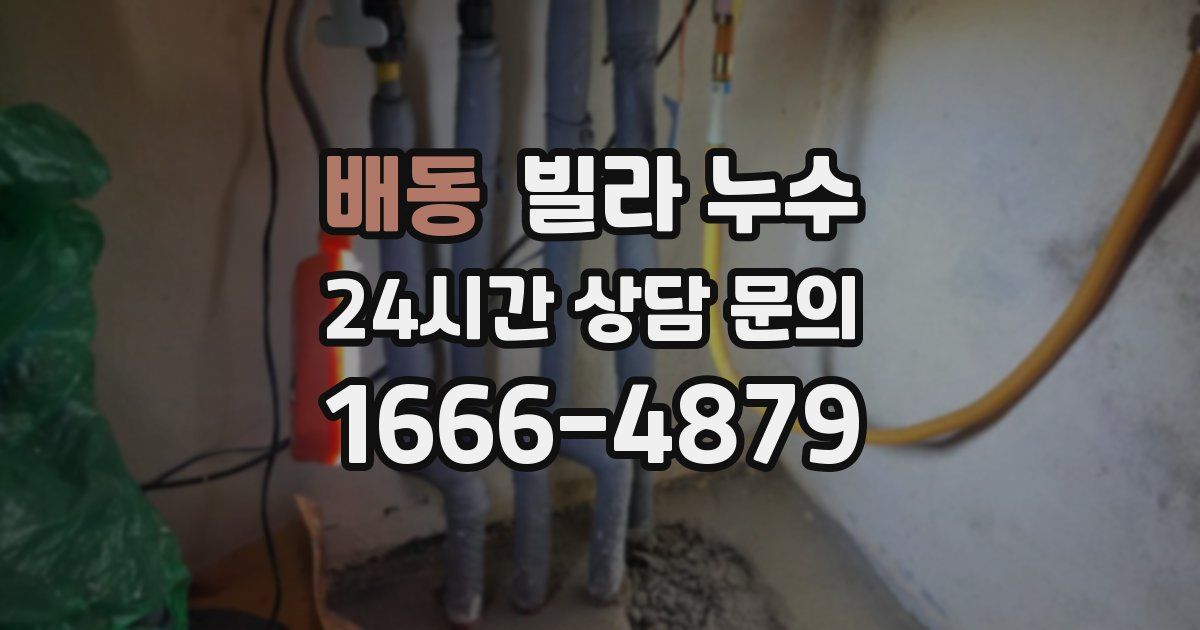 배동 빌라 누수