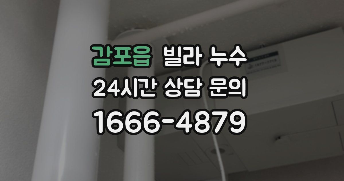 감포읍 빌라 누수