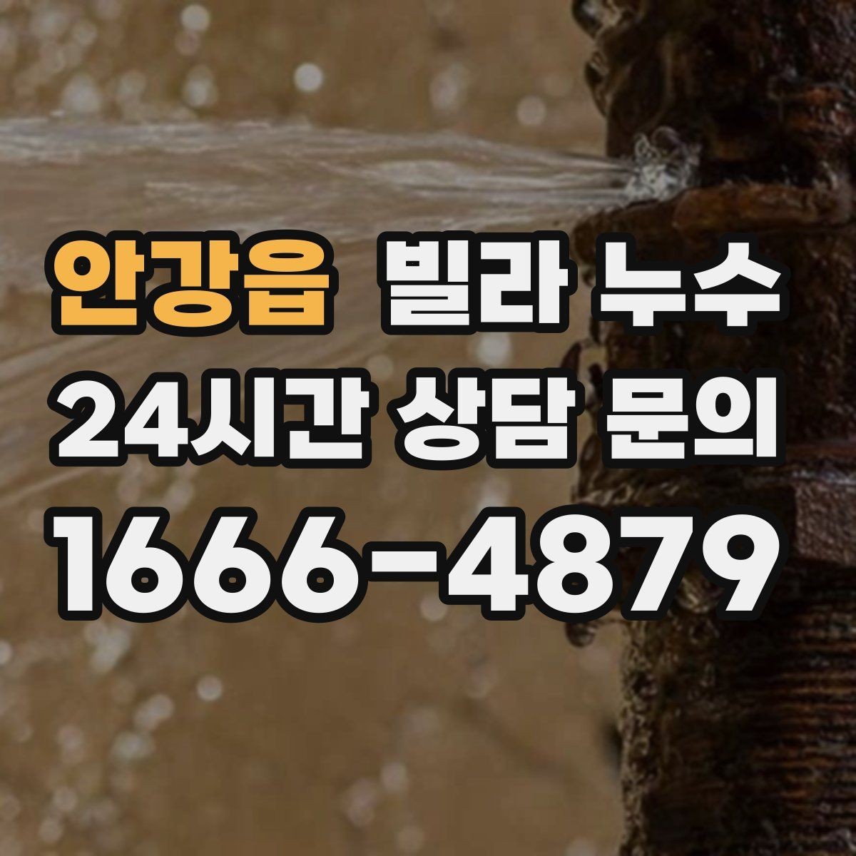 안강읍 빌라 누수 곰팡이 번지기 전 빠른 점검이 필요한 이유