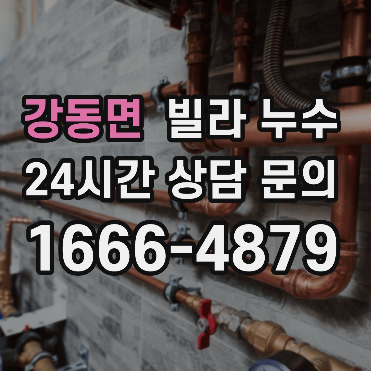 강동면 빌라 누수