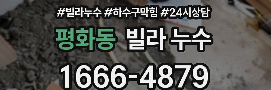 평화동 빌라 누수