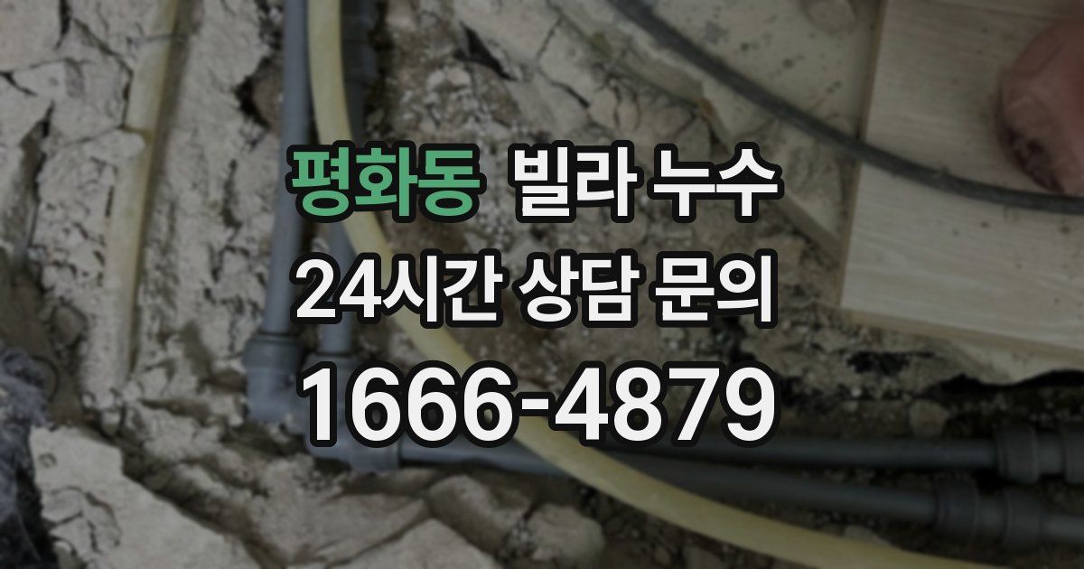 평화동 빌라 누수