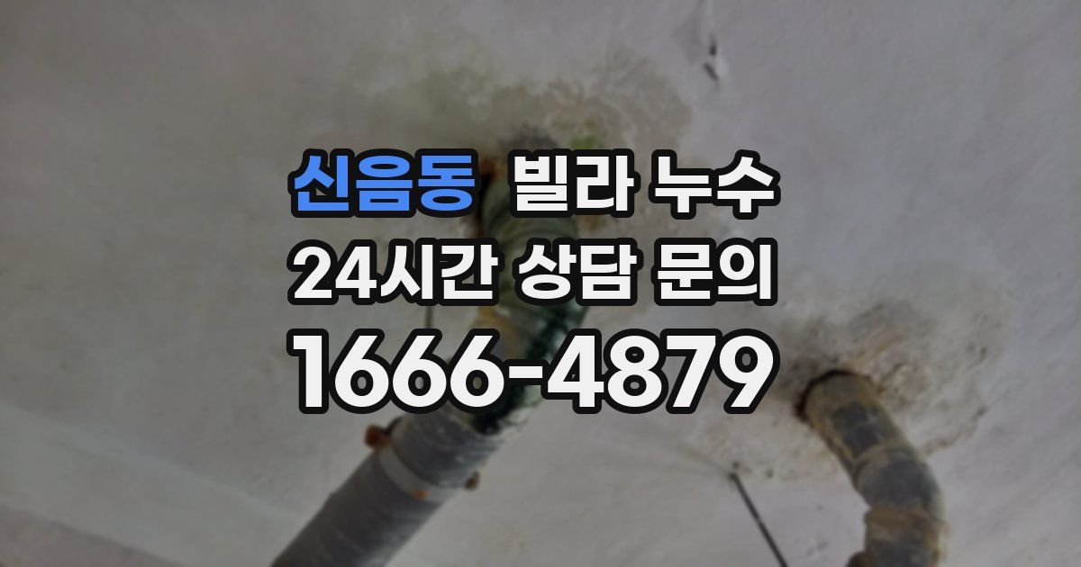 신음동 빌라 누수