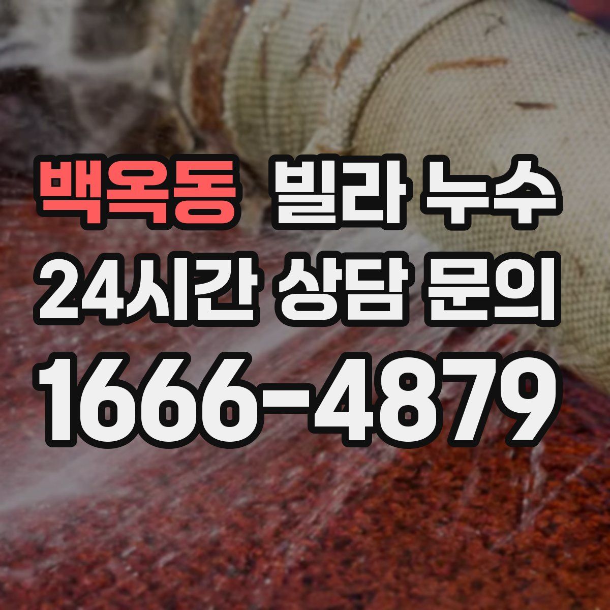 백옥동 빌라 누수