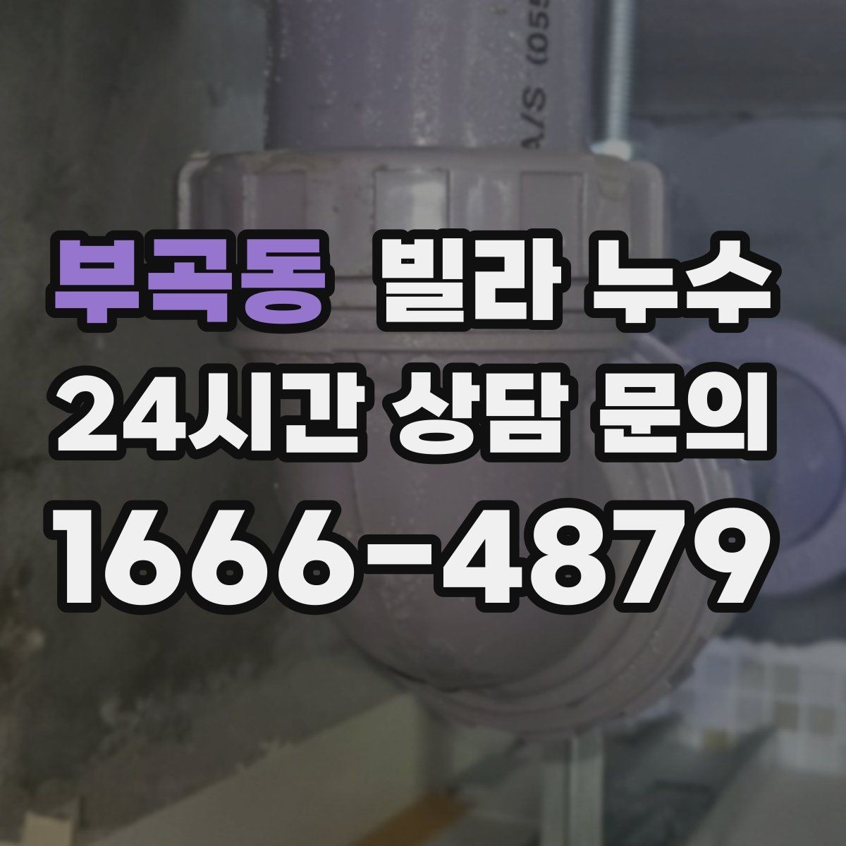 부곡동 빌라 누수 옥상 가까운 방 천장에 얼룩이 생기면