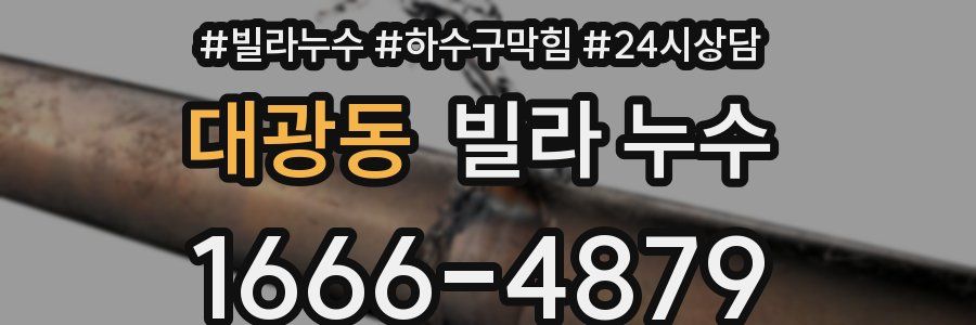 대광동 빌라 누수