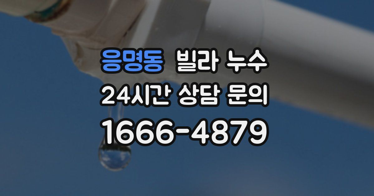 응명동 빌라 누수