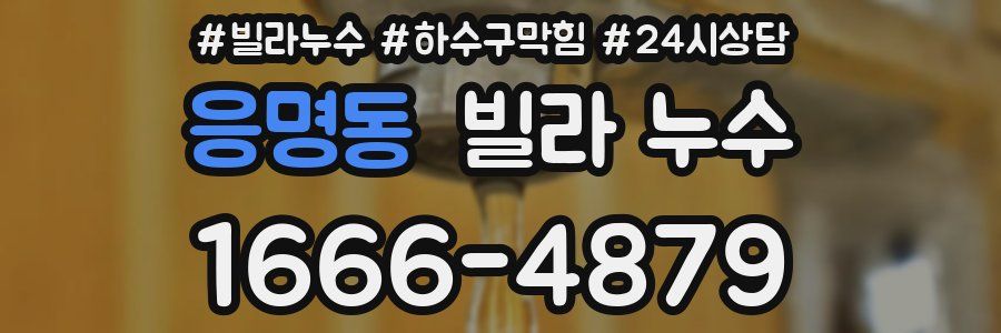 응명동 빌라 누수