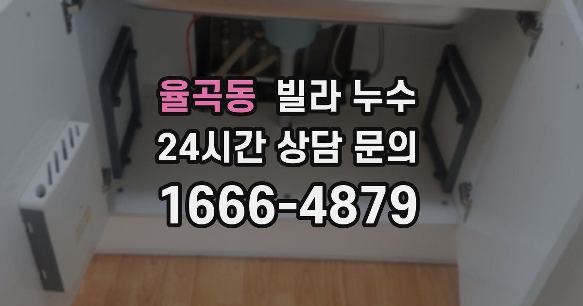 율곡동 빌라 누수