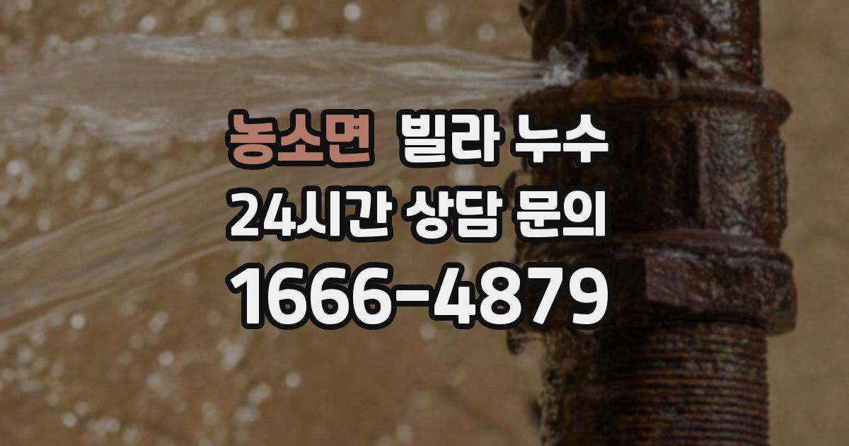 농소면 빌라 누수