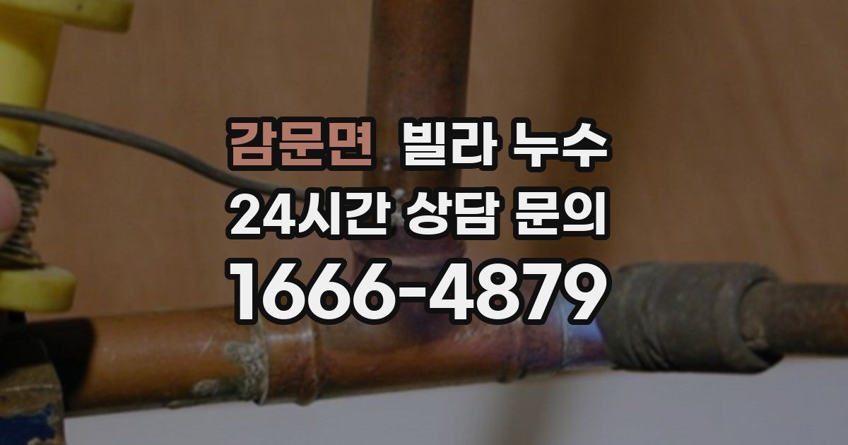 감문면 빌라 누수