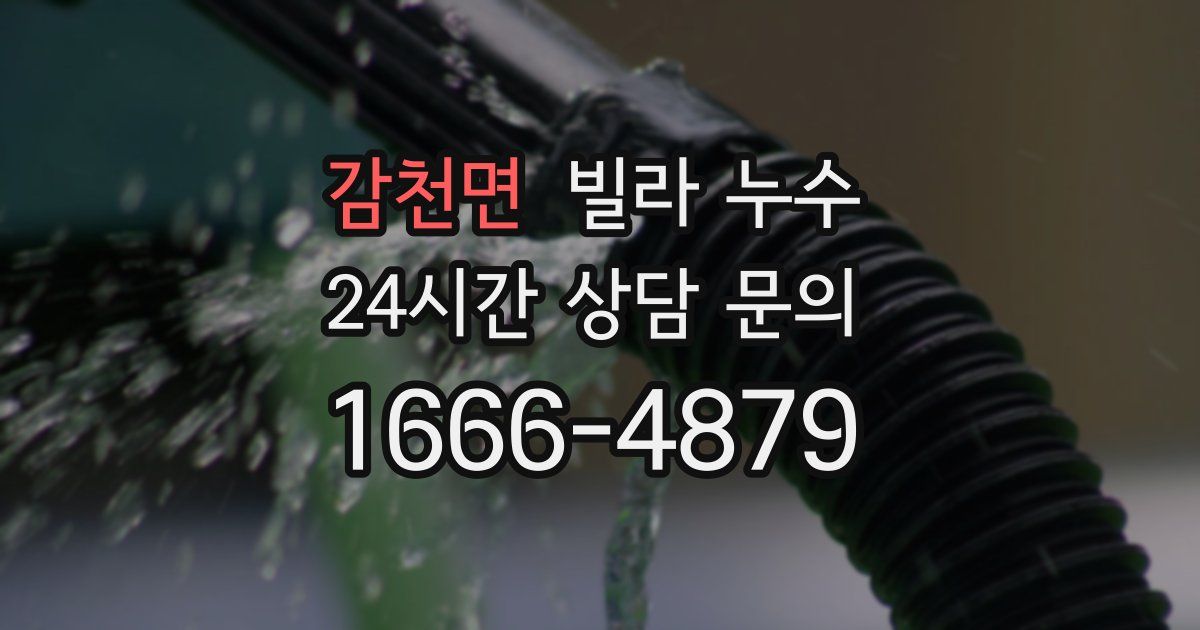 감천면 빌라 누수