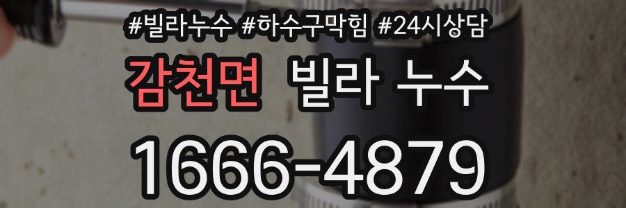 감천면 빌라 누수