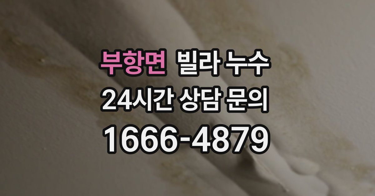 부항면 빌라 누수
