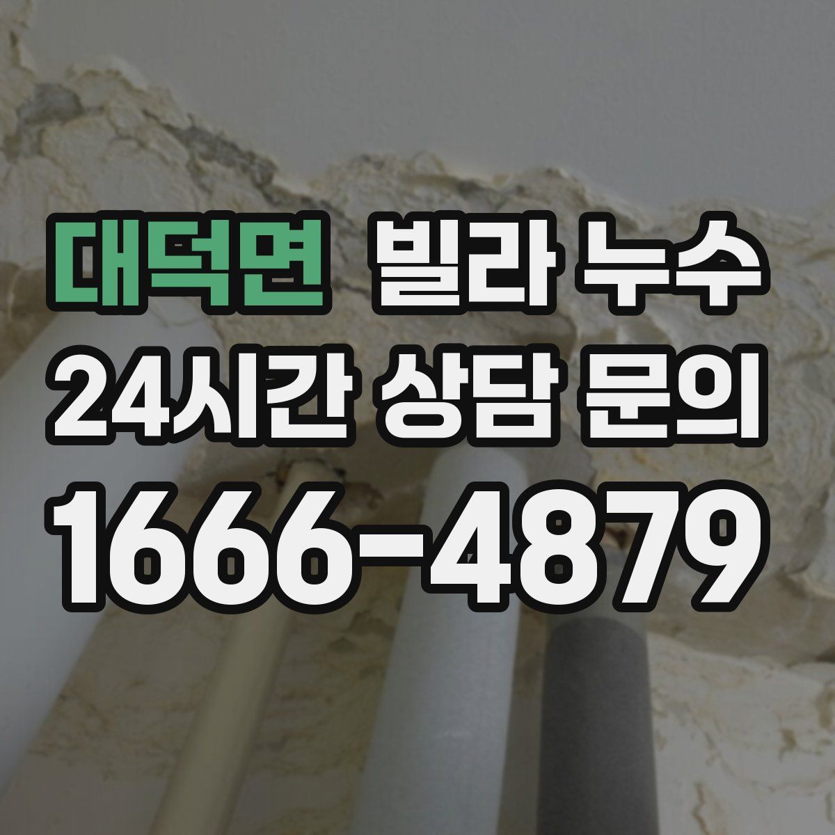 대덕면 빌라 누수