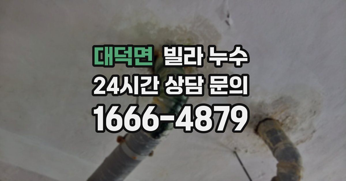 대덕면 빌라 누수