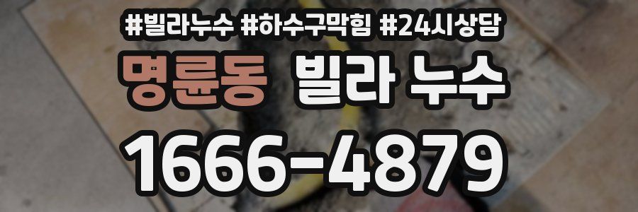 명륜동 빌라 누수