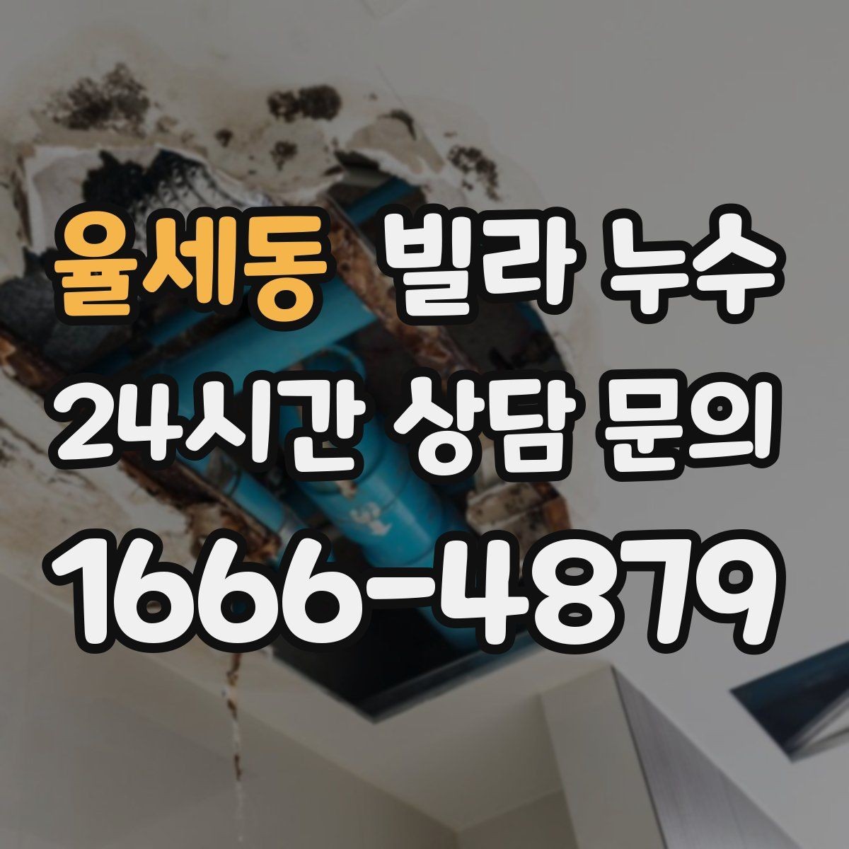율세동 빌라 누수 섣불리 뜯기 전에 원인부터 확인하세요