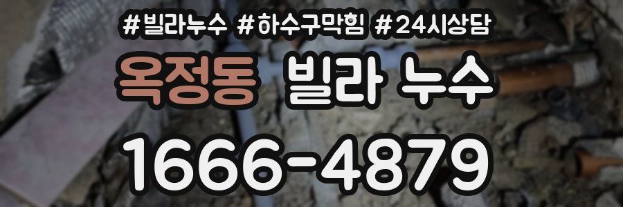 옥정동 빌라 누수