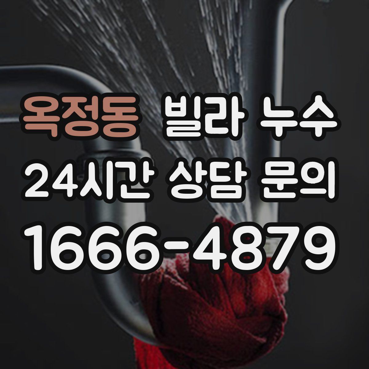 옥정동 빌라 누수