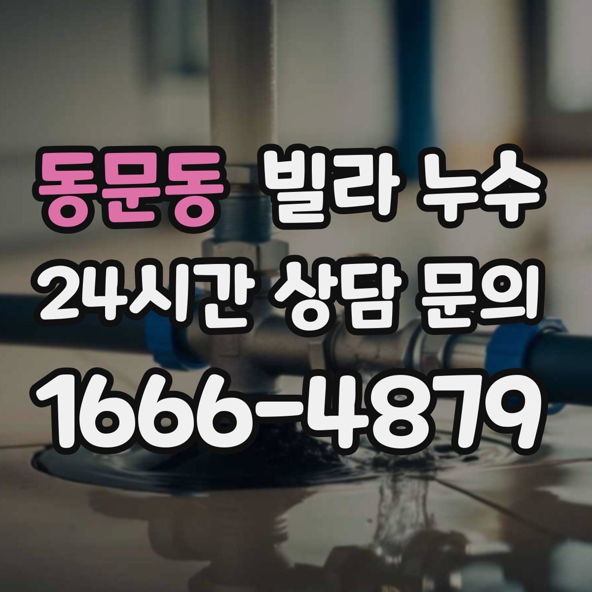 동문동 빌라 누수 신발장 아래쪽이 젖으면 원인부터 점검