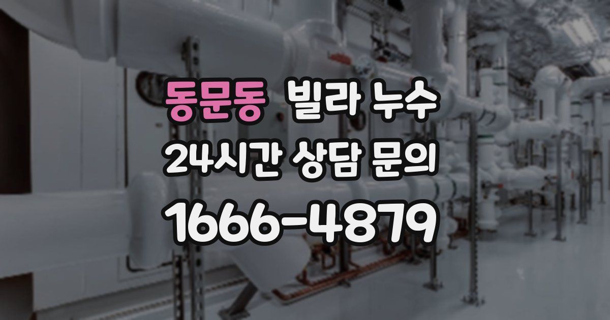 동문동 빌라 누수