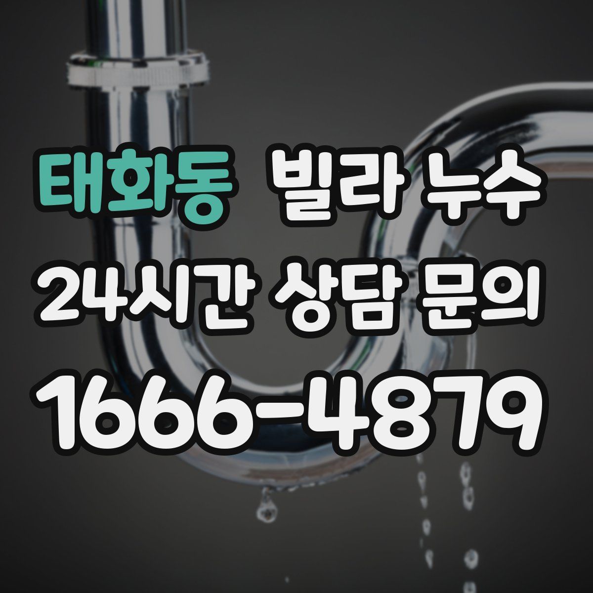 태화동 빌라 누수