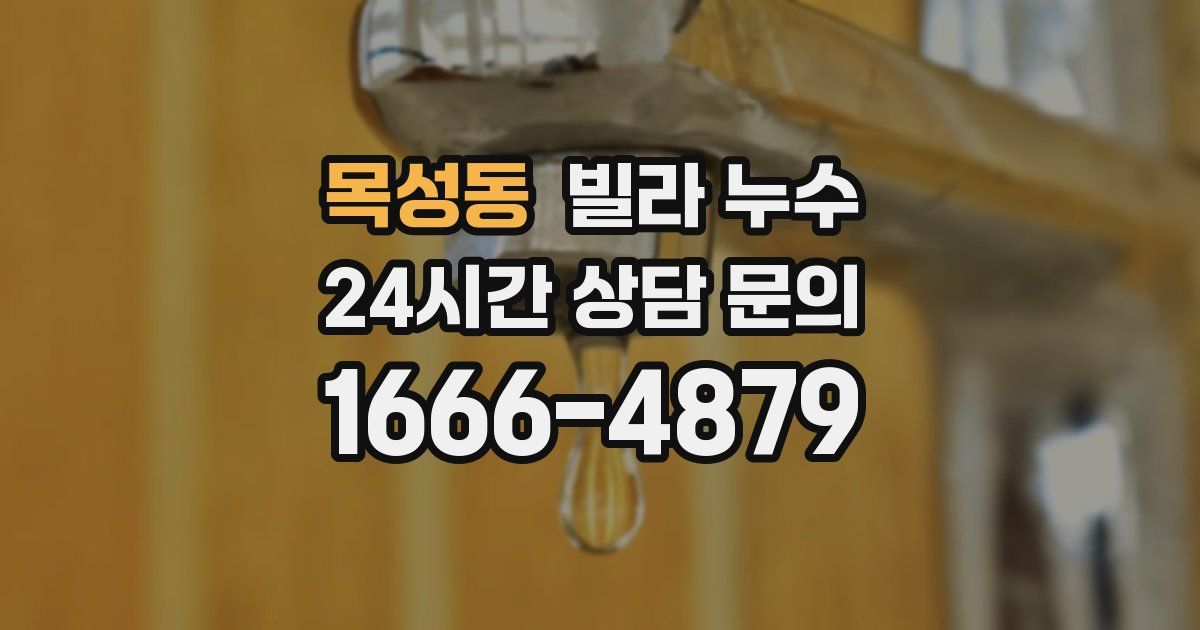 목성동 빌라 누수