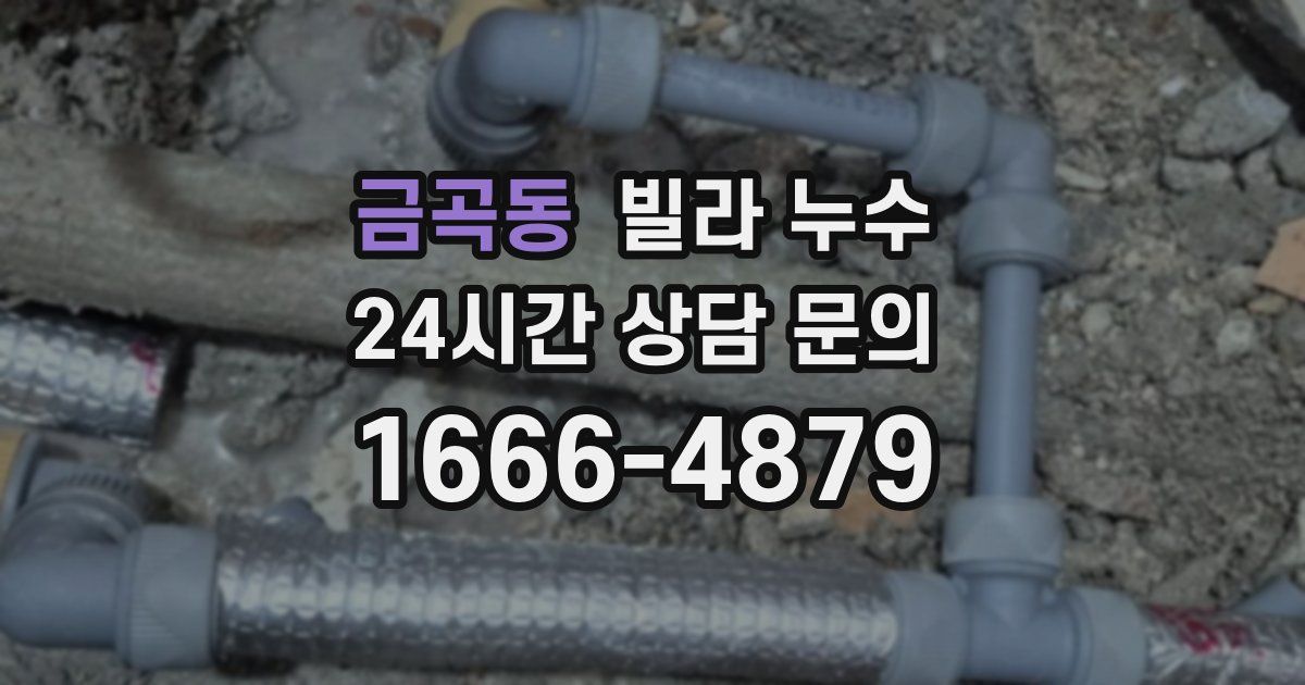 금곡동 빌라 누수