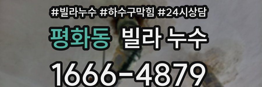 평화동 빌라 누수