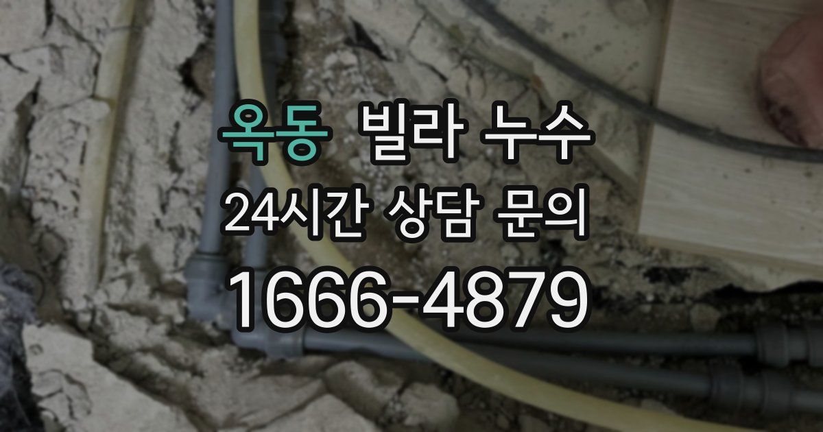 옥동 빌라 누수