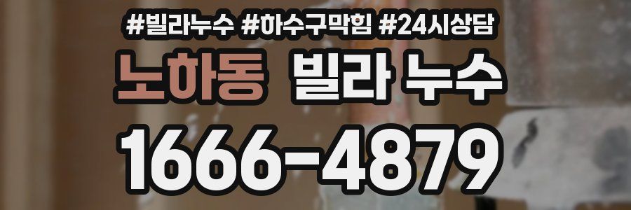 노하동 빌라 누수
