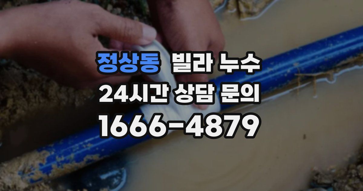 정상동 빌라 누수