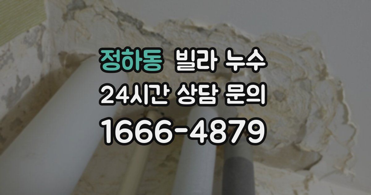 정하동 빌라 누수