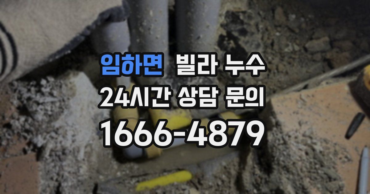 임하면 빌라 누수