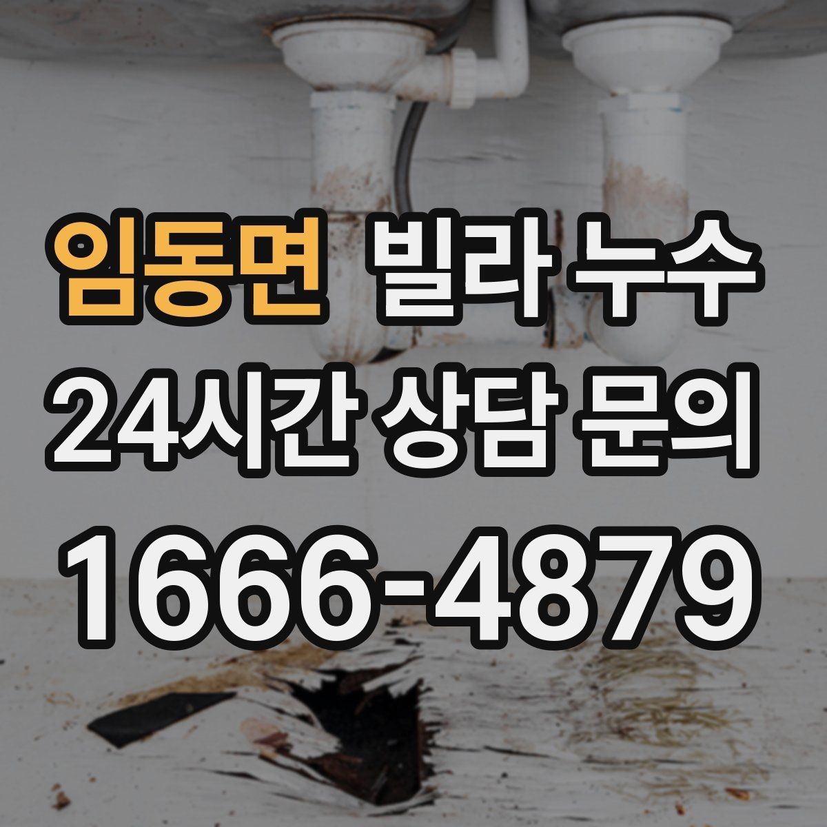 임동면 빌라 누수 배수구 막힘이 누수처럼 보일 수 있어요